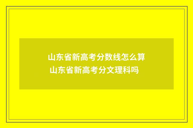 山东省新高考分数线怎么算 山东省新高考分文理科吗