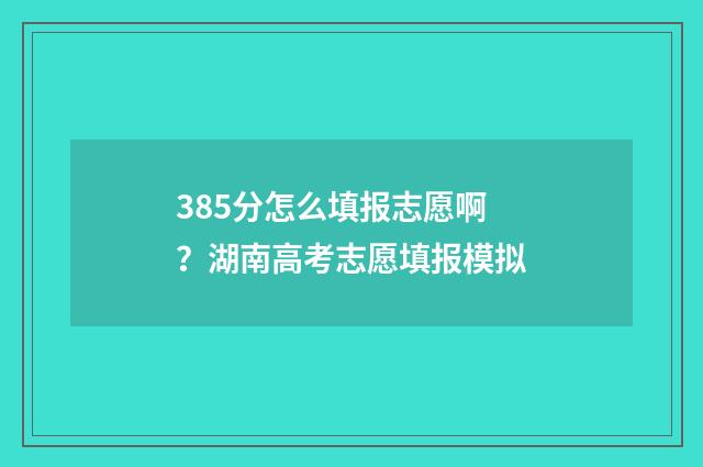 385分怎么填报志愿啊？湖南高考志愿填报模拟