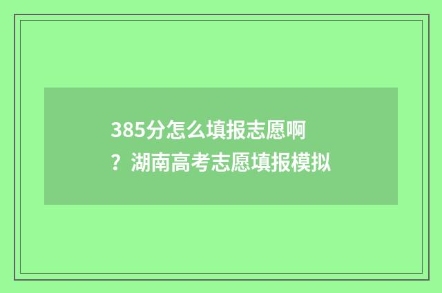 385分怎么填报志愿啊？湖南高考志愿填报模拟