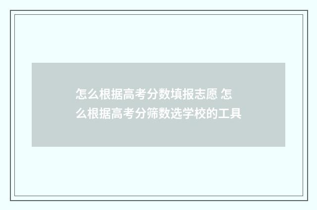 怎么根据高考分数填报志愿 怎么根据高考分筛数选学校的工具
