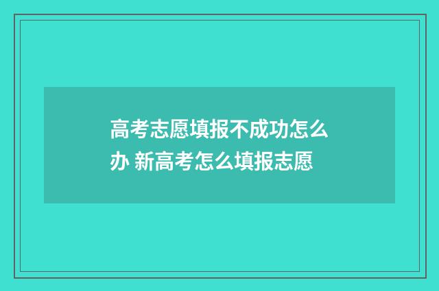 高考志愿填报不成功怎么办 新高考怎么填报志愿