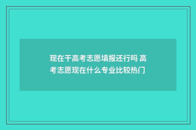 现在干高考志愿填报还行吗 高考志愿现在什么专业比较热门