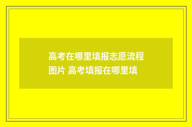 高考在哪里填报志愿流程图片 高考填报在哪里填