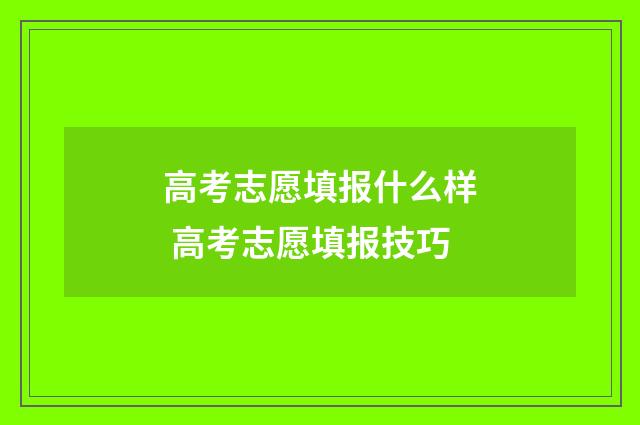 高考志愿填报什么样 高考志愿填报技巧