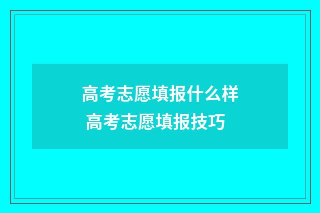 高考志愿填报什么样 高考志愿填报技巧