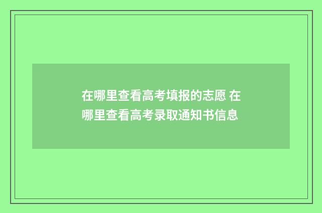 在哪里查看高考填报的志愿 在哪里查看高考录取通知书信息