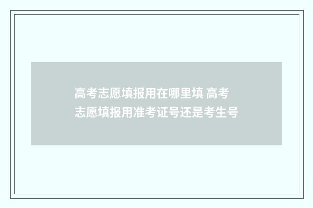 高考志愿填报用在哪里填 高考志愿填报用准考证号还是考生号