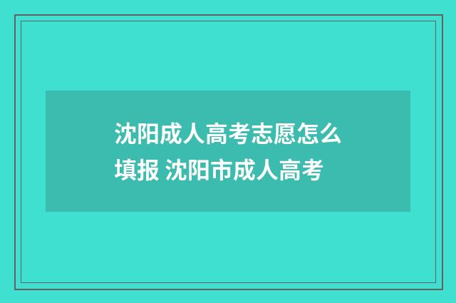 沈阳成人高考志愿怎么填报 沈阳市成人高考