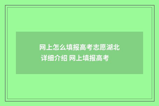 网上怎么填报高考志愿湖北 详细介绍 网上填报高考