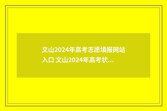 文山2024年高考志愿填报网站入口 文山2024年高考状元有哪些