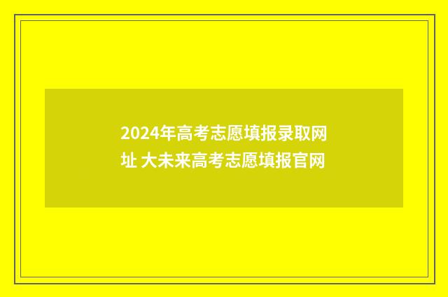 2024年高考志愿填报录取网址 大未来高考志愿填报官网