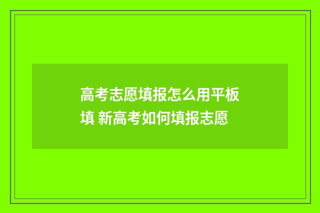 高考志愿填报怎么用平板填 新高考如何填报志愿