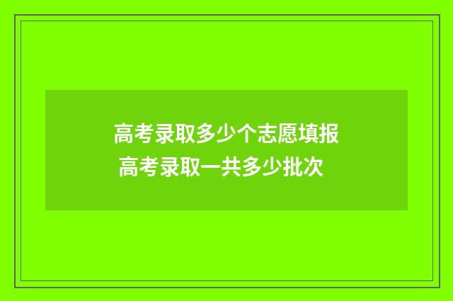 高考录取多少个志愿填报 高考录取一共多少批次