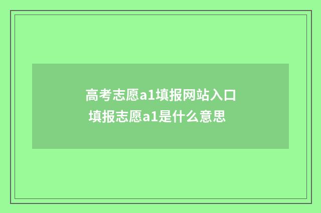 高考志愿a1填报网站入口 填报志愿a1是什么意思
