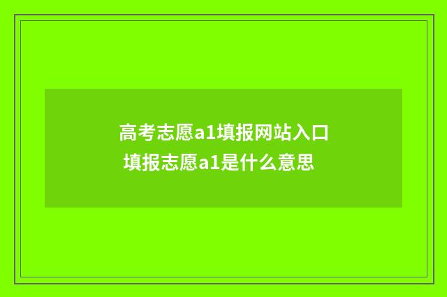 高考志愿a1填报网站入口 填报志愿a1是什么意思