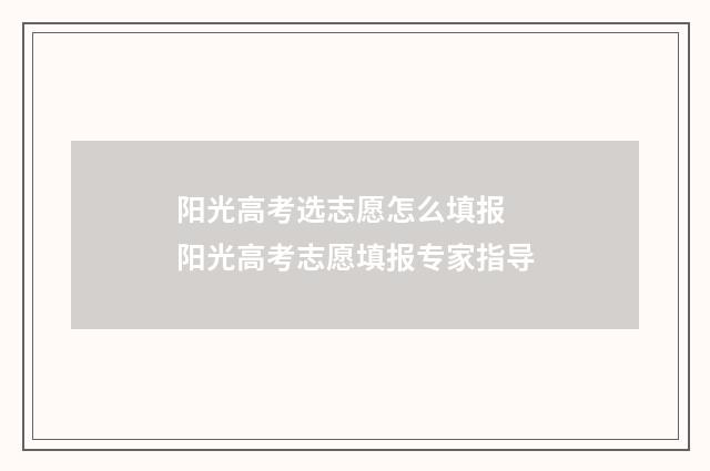 阳光高考选志愿怎么填报 阳光高考志愿填报专家指导