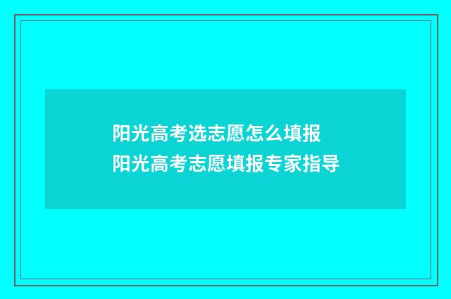 阳光高考选志愿怎么填报 阳光高考志愿填报专家指导