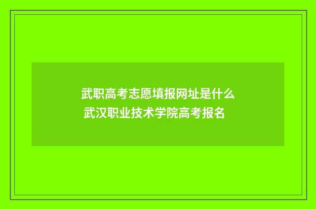 武职高考志愿填报网址是什么 武汉职业技术学院高考报名