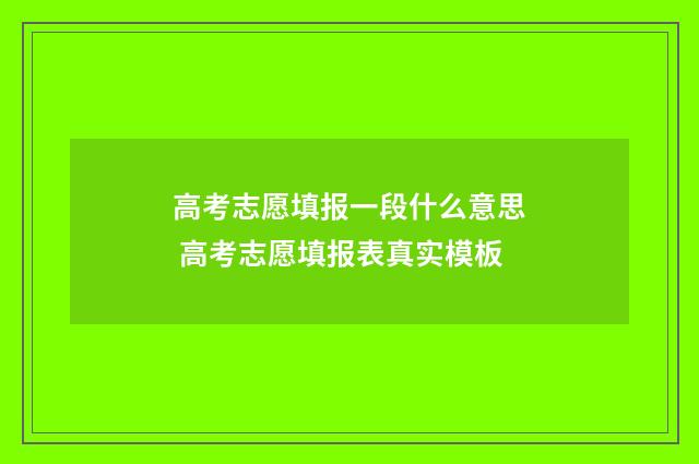 高考志愿填报一段什么意思 高考志愿填报表真实模板