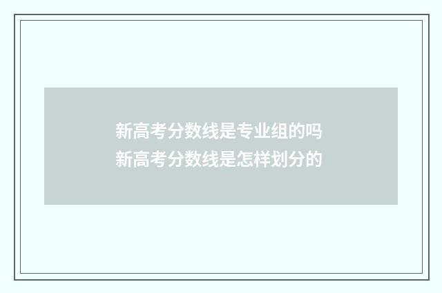 新高考分数线是专业组的吗 新高考分数线是怎样划分的