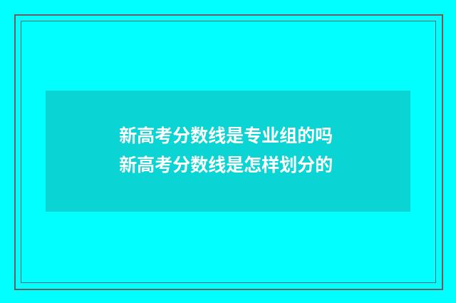 新高考分数线是专业组的吗 新高考分数线是怎样划分的
