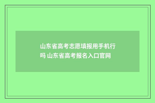 山东省高考志愿填报用手机行吗 山东省高考报名入口官网