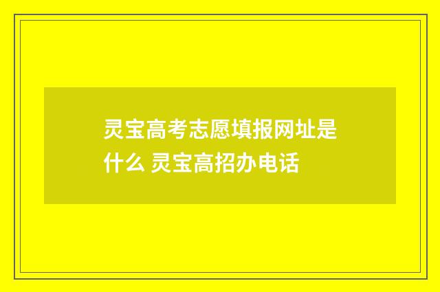 灵宝高考志愿填报网址是什么 灵宝高招办电话
