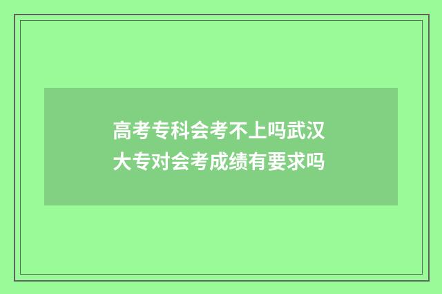 高考专科会考不上吗武汉 大专对会考成绩有要求吗