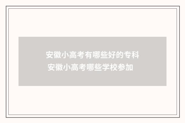 安徽小高考有哪些好的专科 安徽小高考哪些学校参加