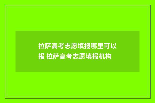 拉萨高考志愿填报哪里可以报 拉萨高考志愿填报机构