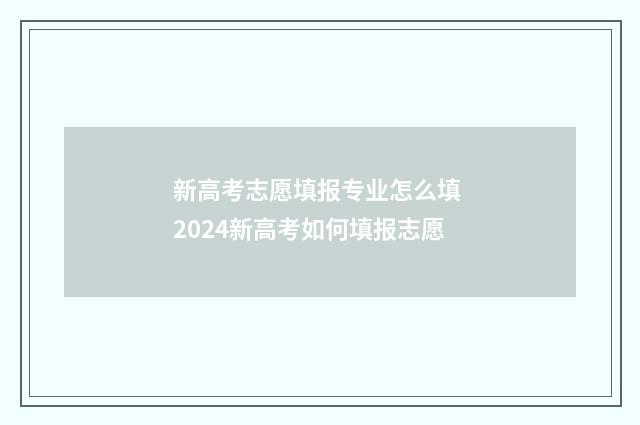 新高考志愿填报专业怎么填 2024新高考如何填报志愿