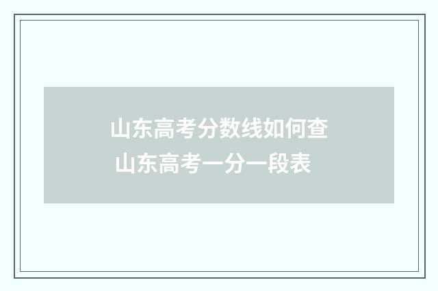 山东高考分数线如何查 山东高考一分一段表