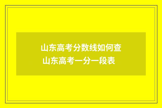 山东高考分数线如何查 山东高考一分一段表