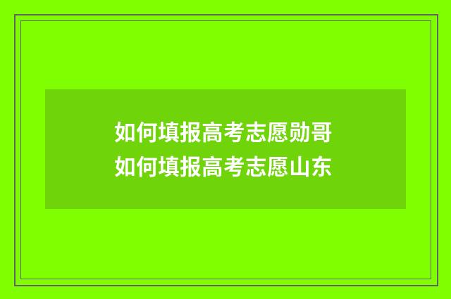 如何填报高考志愿勋哥 如何填报高考志愿山东