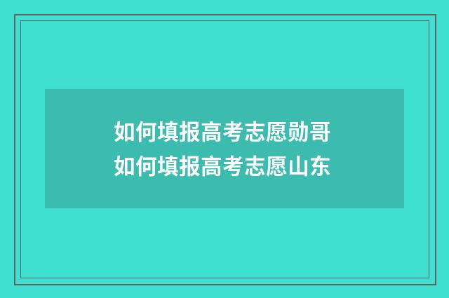 如何填报高考志愿勋哥 如何填报高考志愿山东