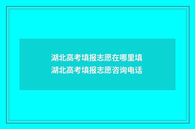 湖北高考填报志愿在哪里填 湖北高考填报志愿咨询电话