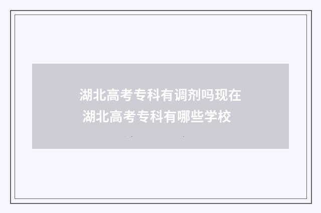 湖北高考专科有调剂吗现在 湖北高考专科有哪些学校
