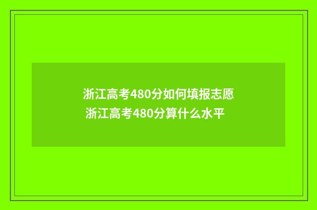 浙江高考480分如何填报志愿 浙江高考480分算什么水平