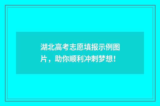 湖北高考志愿填报示例图片，助你顺利冲刺梦想！
