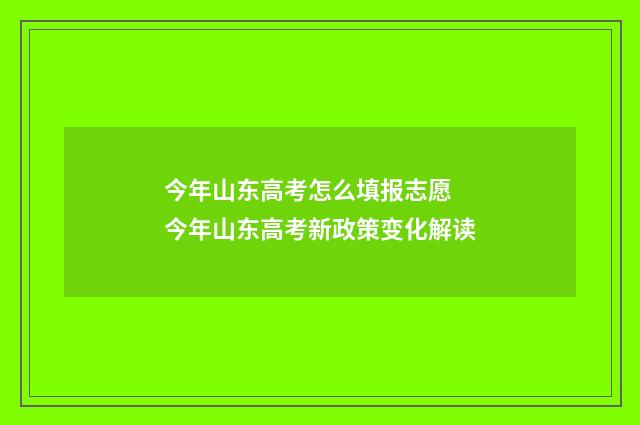 今年山东高考怎么填报志愿 今年山东高考新政策变化解读