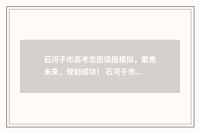 石河子市高考志愿填报模拟，聚焦未来，规划成功！ 石河子市高考志愿查询