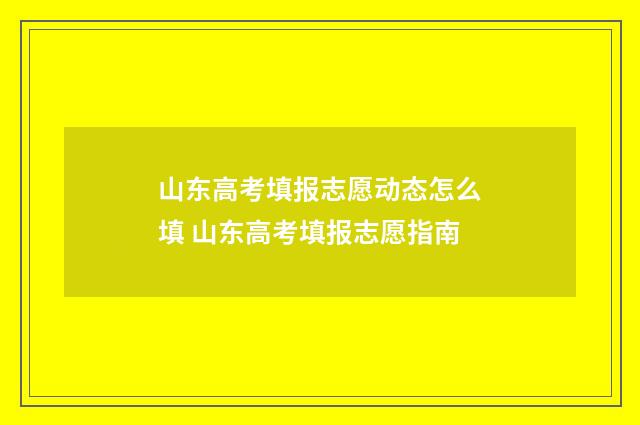 山东高考填报志愿动态怎么填 山东高考填报志愿指南