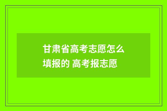 甘肃省高考志愿怎么填报的 高考报志愿