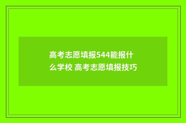 高考志愿填报544能报什么学校 高考志愿填报技巧
