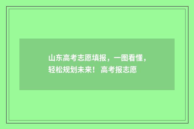 山东高考志愿填报，一图看懂，轻松规划未来！ 高考报志愿