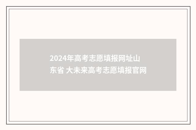 2024年高考志愿填报网址山东省 大未来高考志愿填报官网