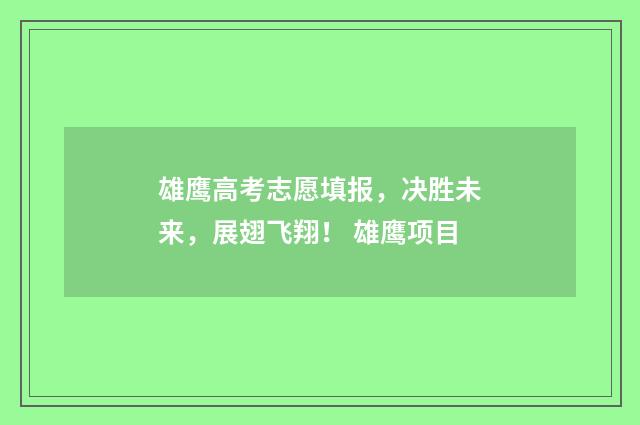 雄鹰高考志愿填报，决胜未来，展翅飞翔！ 雄鹰项目