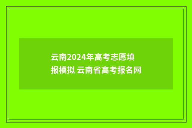 云南2024年高考志愿填报模拟 云南省高考报名网