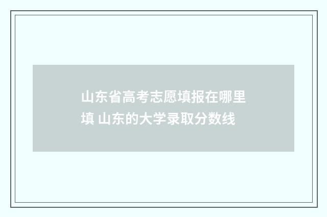 山东省高考志愿填报在哪里填 山东的大学录取分数线