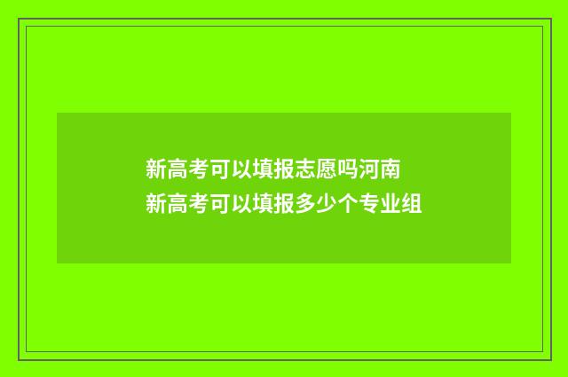 新高考可以填报志愿吗河南 新高考可以填报多少个专业组